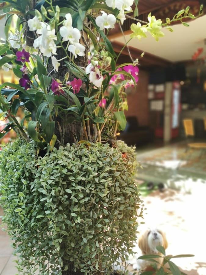 Tavee Guesthouse Bangkok Esterno foto